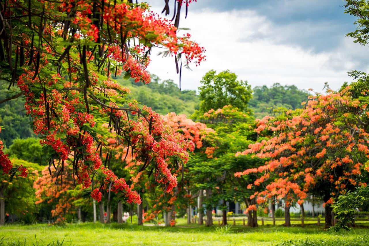 Diamond Hill Resort Nong Nam Daeng Exterior foto